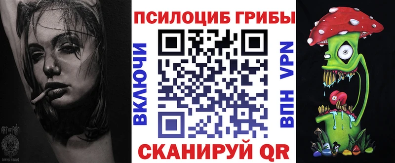 Псилоцибиновые грибы GOLDEN TEACHER Купить закладки Байкальск